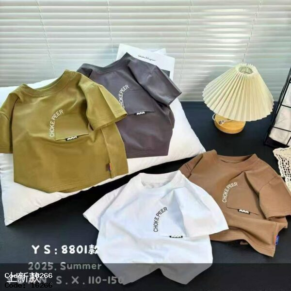 تیشرت وارداتی 16266